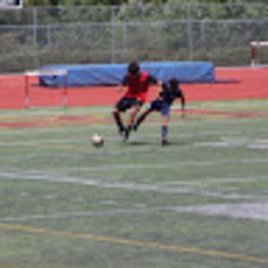 Meet your Posher, Adams